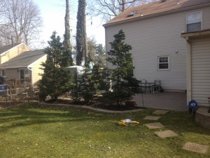 bls-patios-retaining-walls-16    